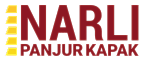 Panjur Kapak